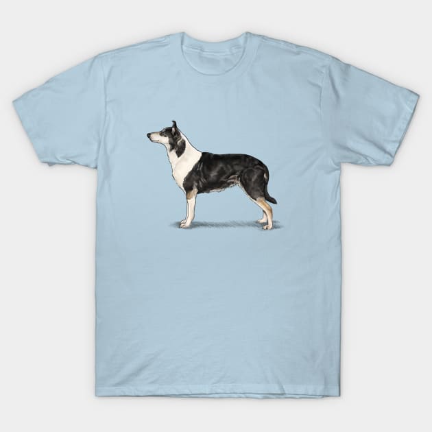 The Tri Colour Smooth Collie T-Shirt by Elspeth Rose Design